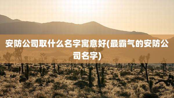安防公司取什么名字寓意好(最霸气的安防公司名字)