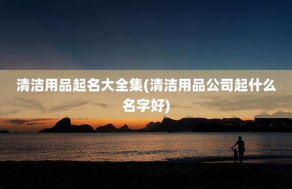 清洁用品起名大全集(清洁用品公司起什么名字好)