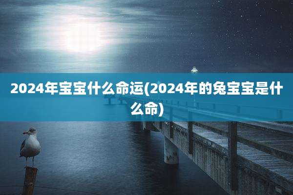 2024年宝宝什么命运(2024年的兔宝宝是什么命)