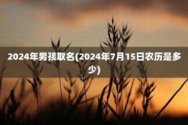 2024年男孩取名(2024年7月15日农历是多少)