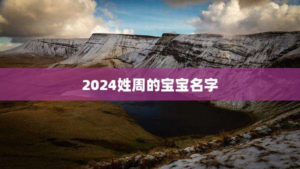 2024姓周的宝宝名字