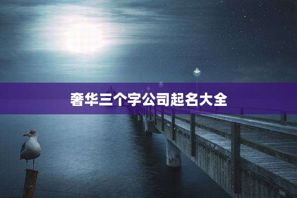 奢华三个字公司起名大全