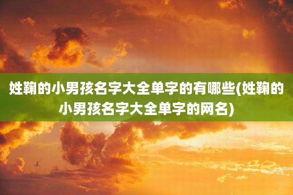 姓鞠的小男孩名字大全单字的有哪些(姓鞠的小男孩名字大全单字的网名)