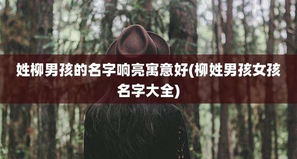 姓柳男孩的名字响亮寓意好(柳姓男孩女孩名字大全)