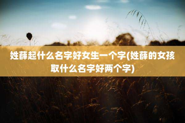 姓薛起什么名字好女生一个字(姓薛的女孩取什么名字好两个字)