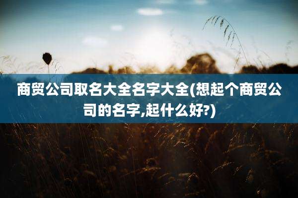 商贸公司取名大全名字大全(想起个商贸公司的名字,起什么好?)