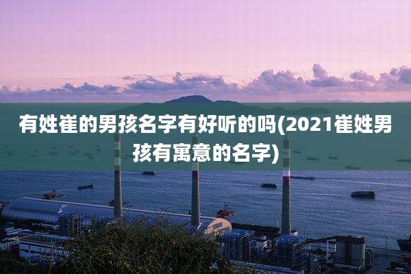 有姓崔的男孩名字有好听的吗(2021崔姓男孩有寓意的名字)