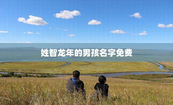 姓智龙年的男孩名字免费