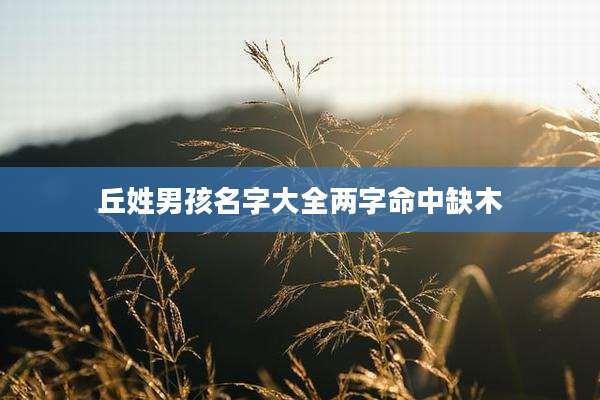 丘姓男孩名字大全两字命中缺木