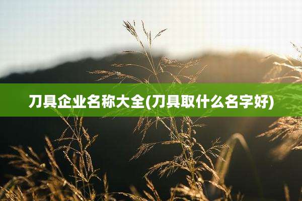 刀具企业名称大全(刀具取什么名字好)