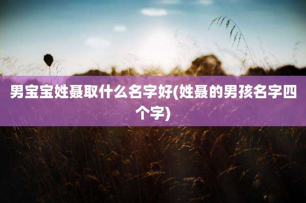 男宝宝姓聂取什么名字好(姓聂的男孩名字四个字)