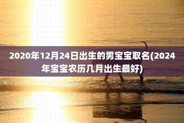 2020年12月24日出生的男宝宝取名(2024年宝宝农历几月出生最好)