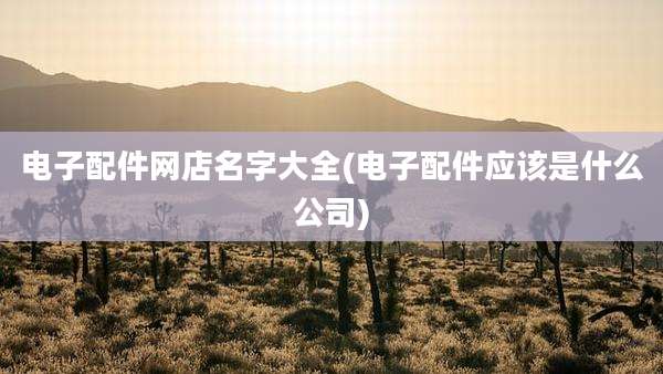 电子配件网店名字大全(电子配件应该是什么公司)