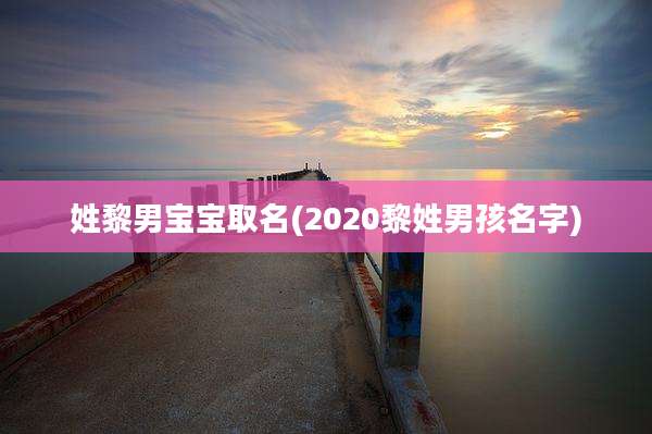 姓黎男宝宝取名(2020黎姓男孩名字)