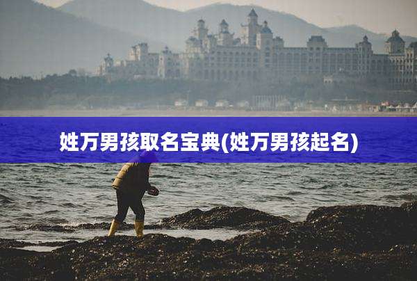 姓万男孩取名宝典(姓万男孩起名)