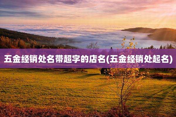 五金经销处名带超字的店名(五金经销处起名)