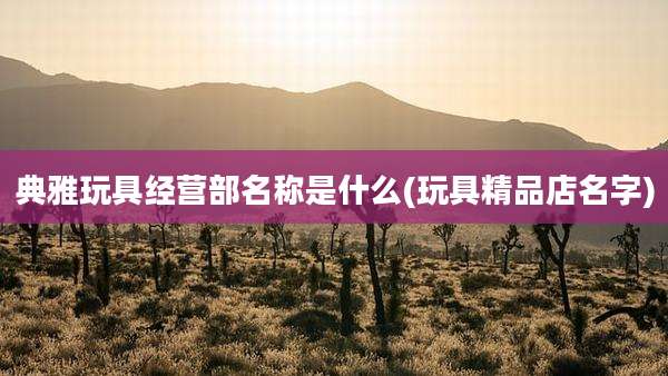 典雅玩具经营部名称是什么(玩具精品店名字)