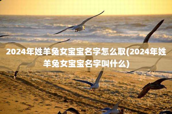 2024年姓羊兔女宝宝名字怎么取(2024年姓羊兔女宝宝名字叫什么)