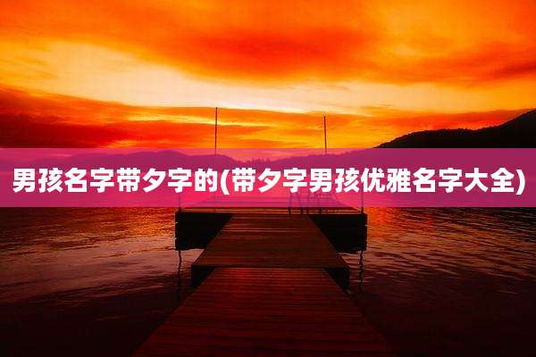 男孩名字带夕字的(带夕字男孩优雅名字大全)