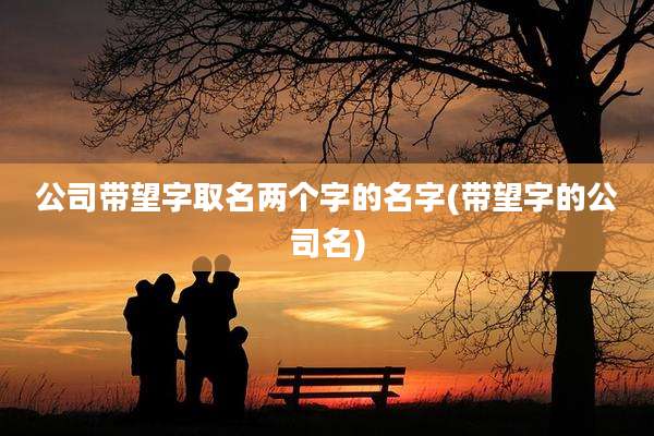 公司带望字取名两个字的名字(带望字的公司名)