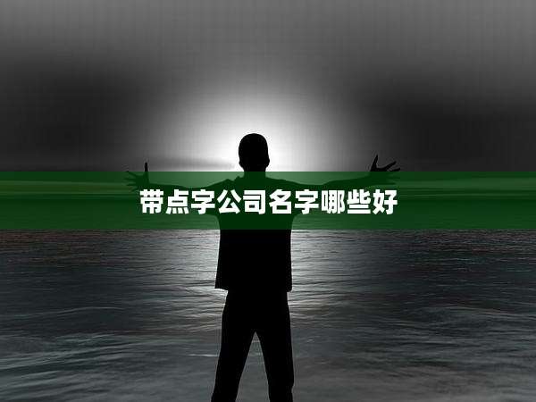 带点字公司名字哪些好