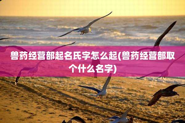 兽药经营部起名氏字怎么起(兽药经营部取个什么名字)