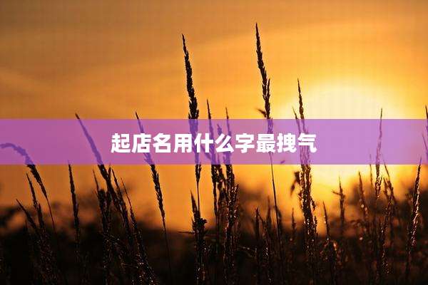 起店名用什么字最拽气