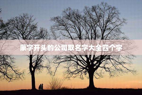 蒙字开头的公司取名字大全四个字