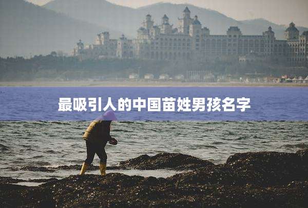 最吸引人的中国苗姓男孩名字