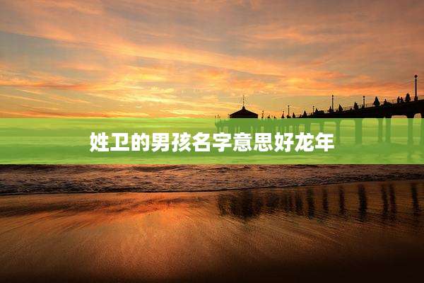 姓卫的男孩名字意思好龙年