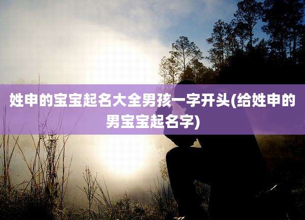 姓申的宝宝起名大全男孩一字开头(给姓申的男宝宝起名字)