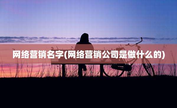 网络营销名字(网络营销公司是做什么的)