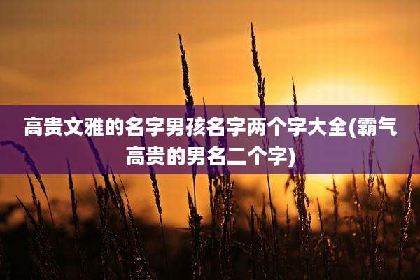 高贵文雅的名字男孩名字两个字大全(霸气高贵的男名二个字)