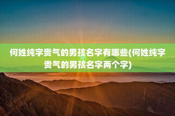 何姓纯字贵气的男孩名字有哪些(何姓纯字贵气的男孩名字两个字)