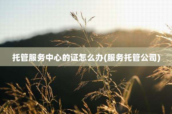 托管服务中心的证怎么办(服务托管公司)
