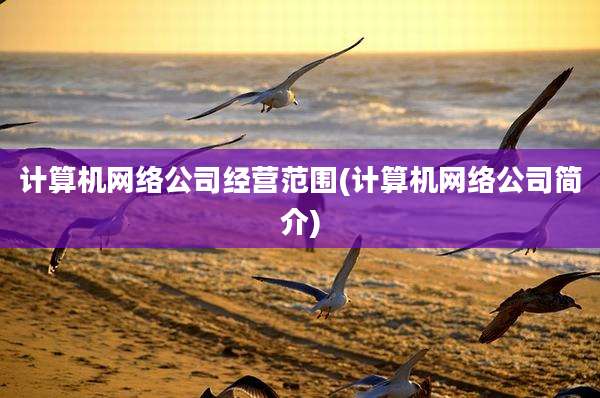 计算机网络公司经营范围(计算机网络公司简介)
