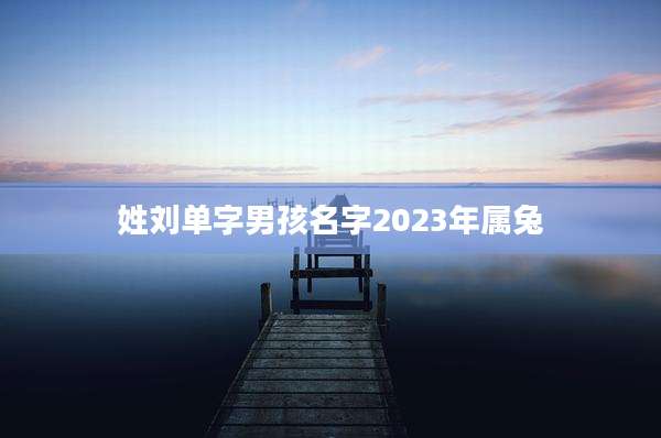 姓刘单字男孩名字2023年属兔