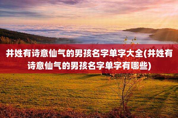 井姓有诗意仙气的男孩名字单字大全(井姓有诗意仙气的男孩名字单字有哪些)