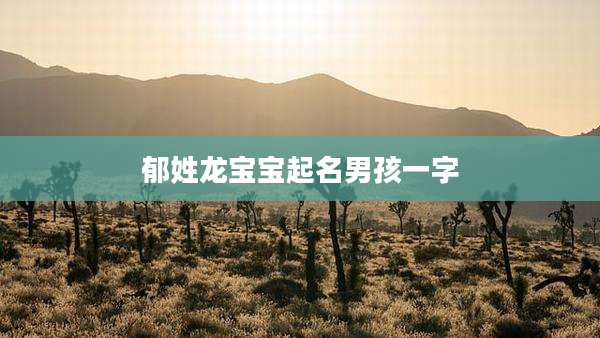 郁姓龙宝宝起名男孩一字