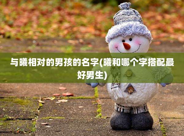 与曦相对的男孩的名字(曦和哪个字搭配最好男生)