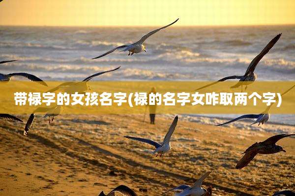 带禄字的女孩名字(禄的名字女咋取两个字)