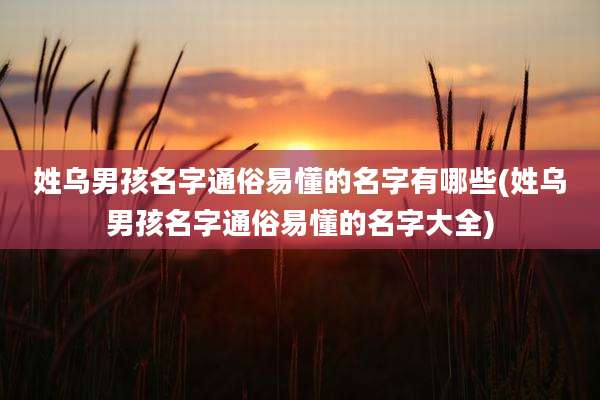 姓乌男孩名字通俗易懂的名字有哪些(姓乌男孩名字通俗易懂的名字大全)