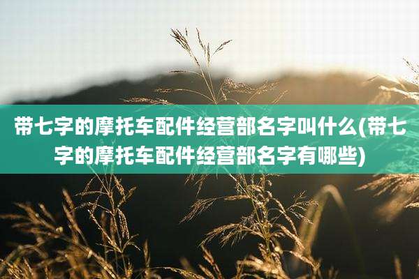 带七字的摩托车配件经营部名字叫什么(带七字的摩托车配件经营部名字有哪些)
