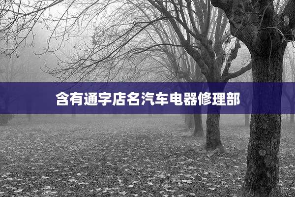 含有通字店名汽车电器修理部