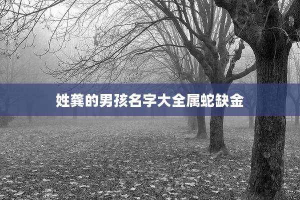 姓龚的男孩名字大全属蛇缺金