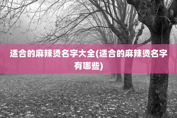 适合的麻辣烫名字大全(适合的麻辣烫名字有哪些)