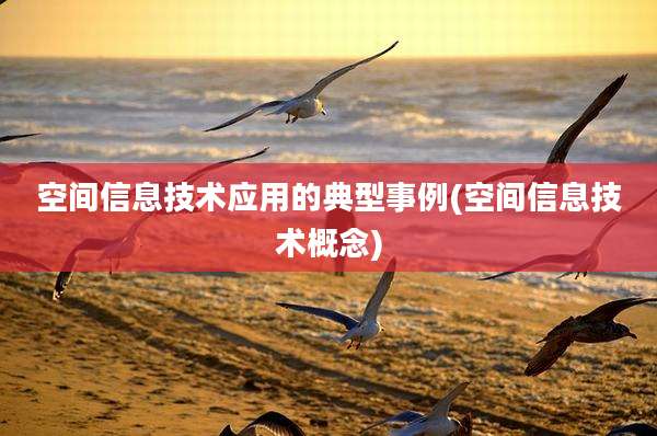 空间信息技术应用的典型事例(空间信息技术概念)