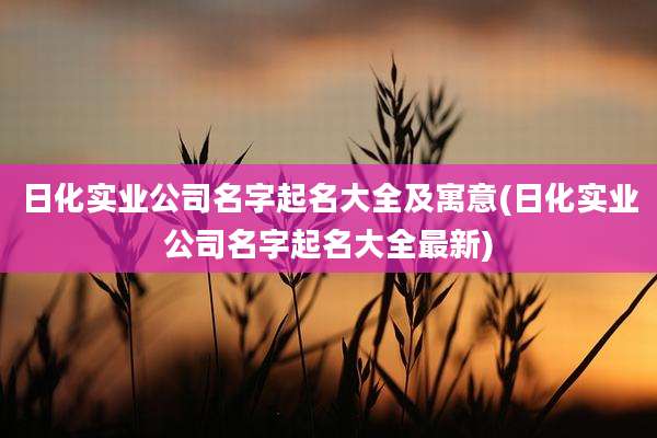 日化实业公司名字起名大全及寓意(日化实业公司名字起名大全最新)