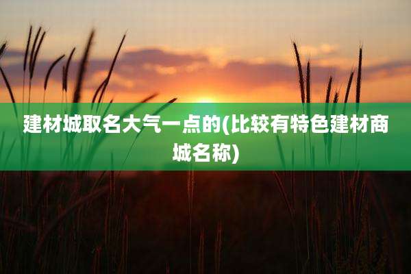 建材城取名大气一点的(比较有特色建材商城名称)