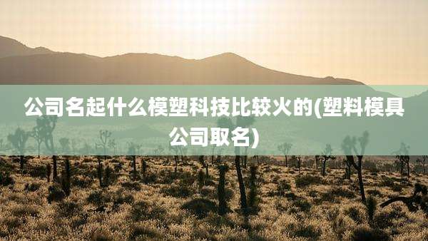 公司名起什么模塑科技比较火的(塑料模具公司取名)